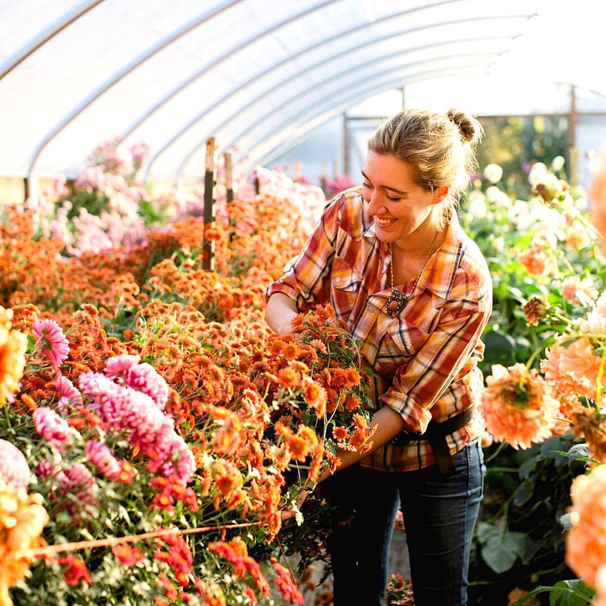 Adorn Your Home with Dried Flowers - Busch's Florist & Greenhouse