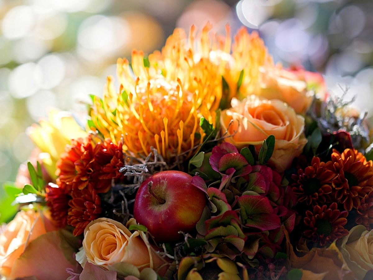 Flowers You Need to Try Out in Your Fall Compositions