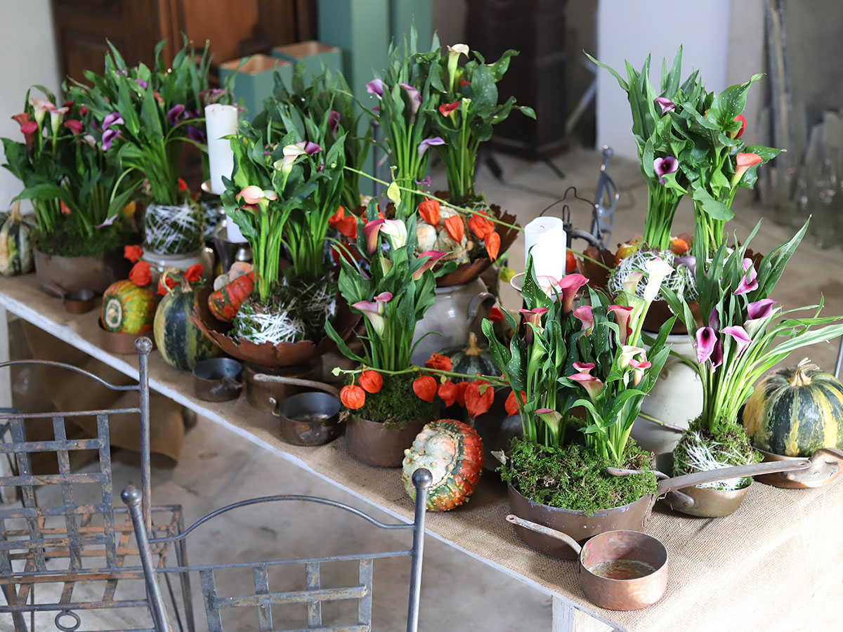 Simply Calla plants on Halloween table