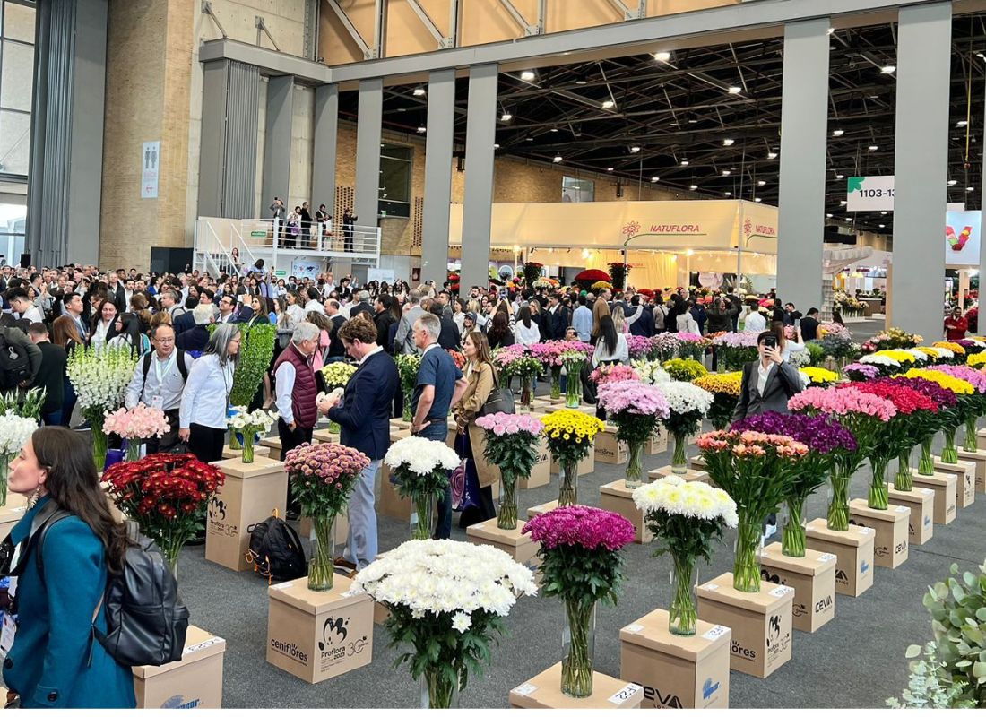 Outstanding Variety Competition at proflora 2023