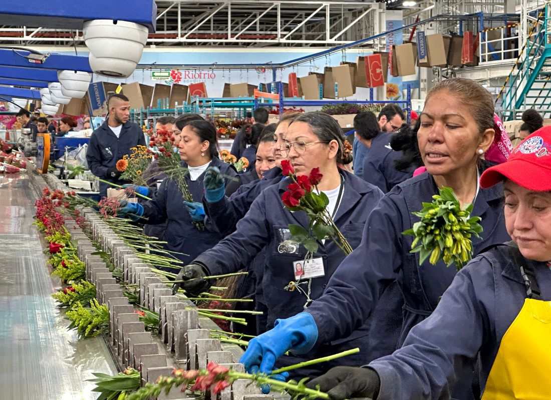 Riofrio Bouquets