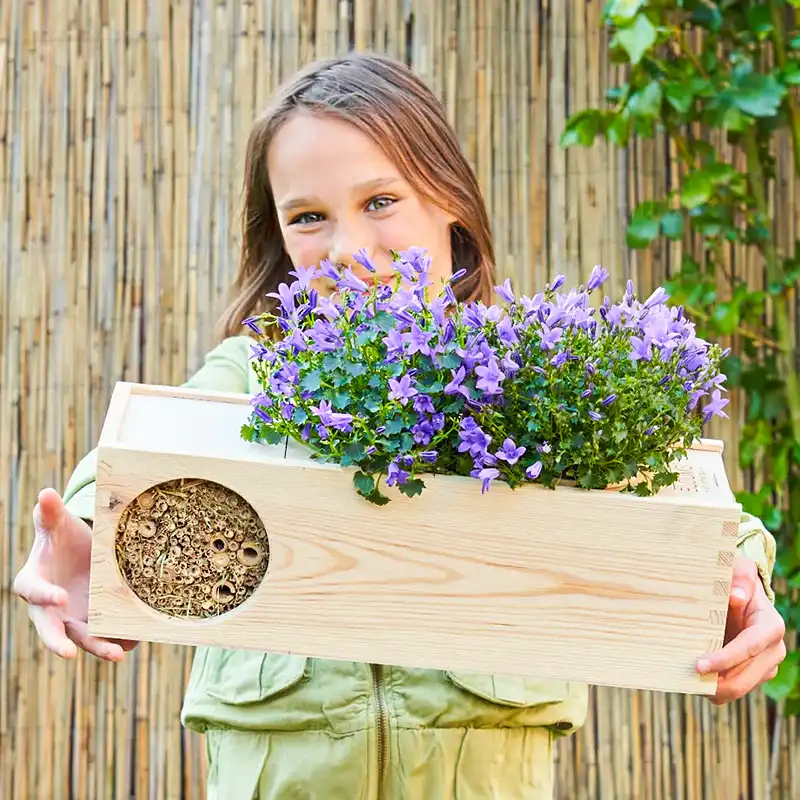 ​B​looms out of the Box's sustainable BloomsBoxes for your plants