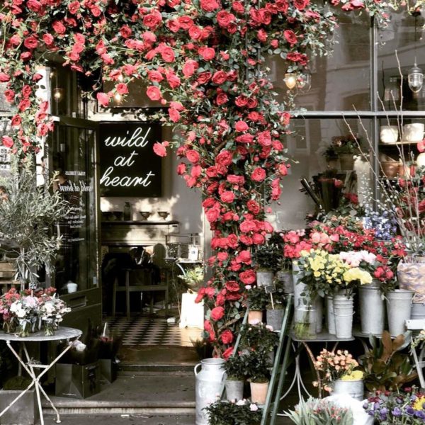 London_Florist_shop_on_thursd