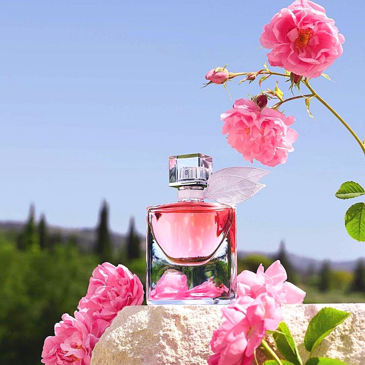 Lancome en best sale rose perfume