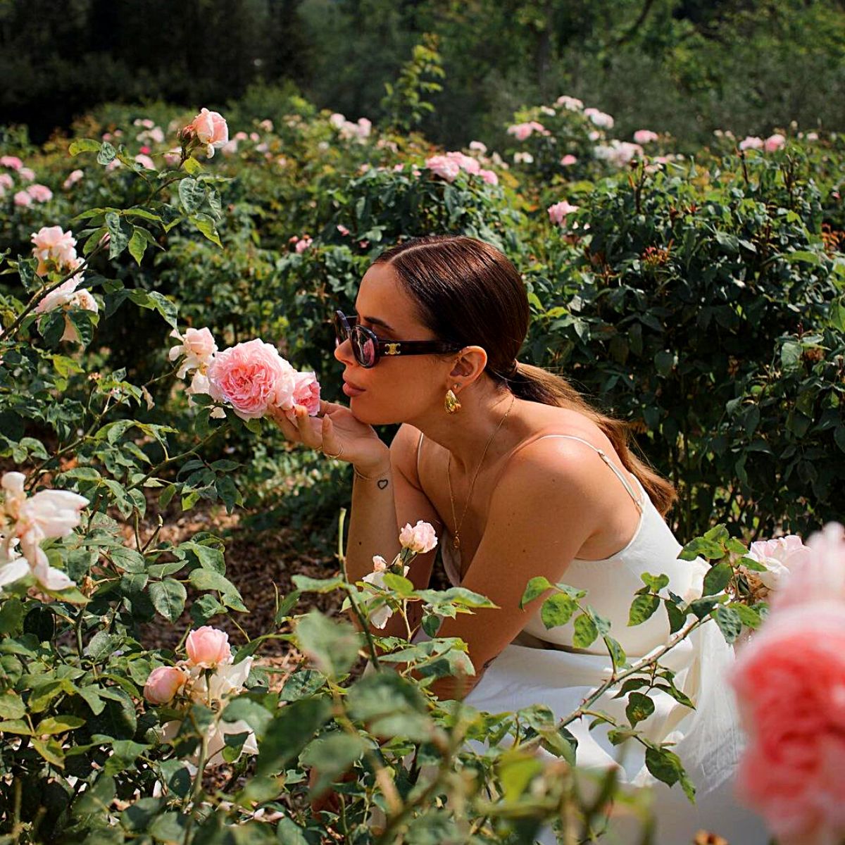 Iconic Rose Centifolia essential in Lancôme’s perfumery