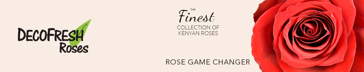 Decofresh Rose Game Changer