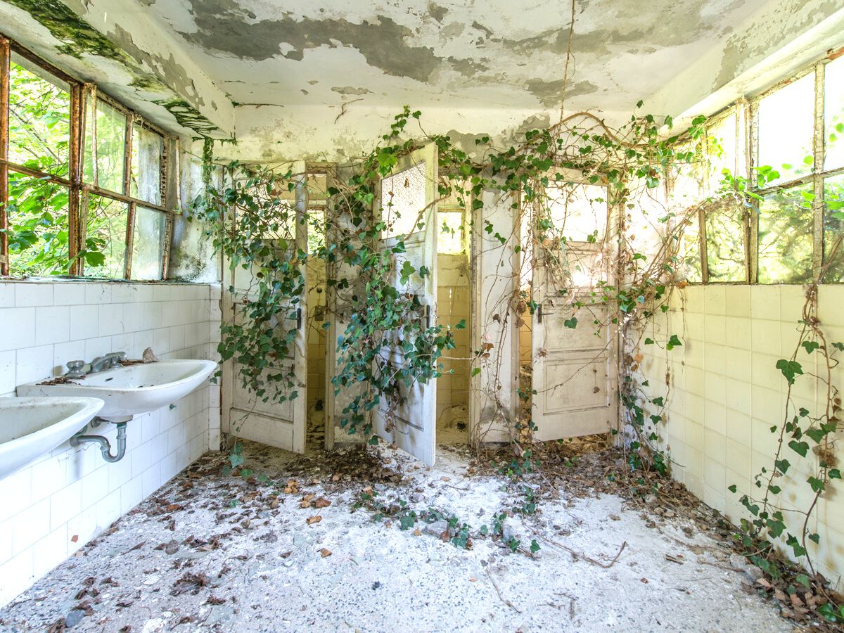 Abandoned room with vines