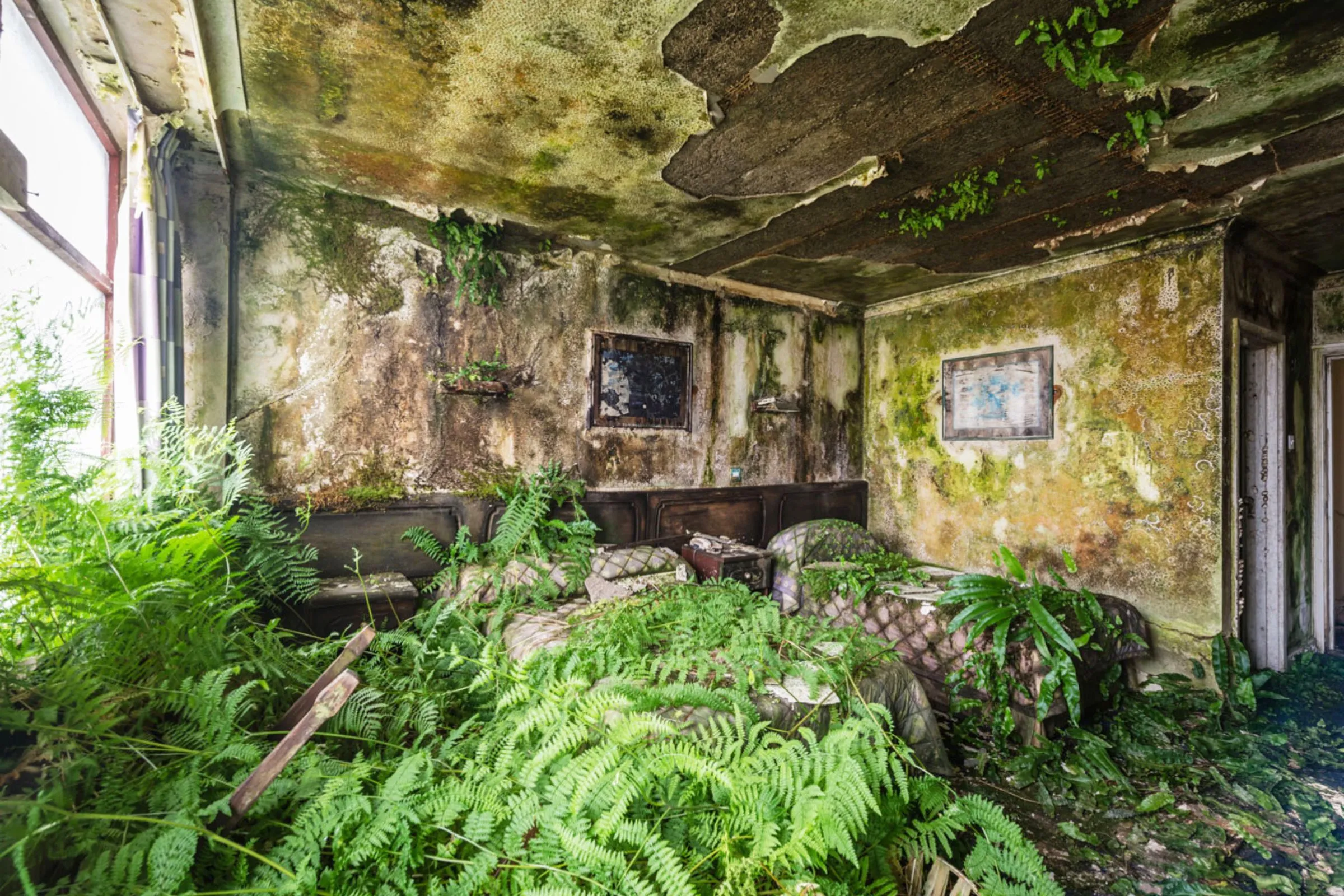 Plants in abandoned place