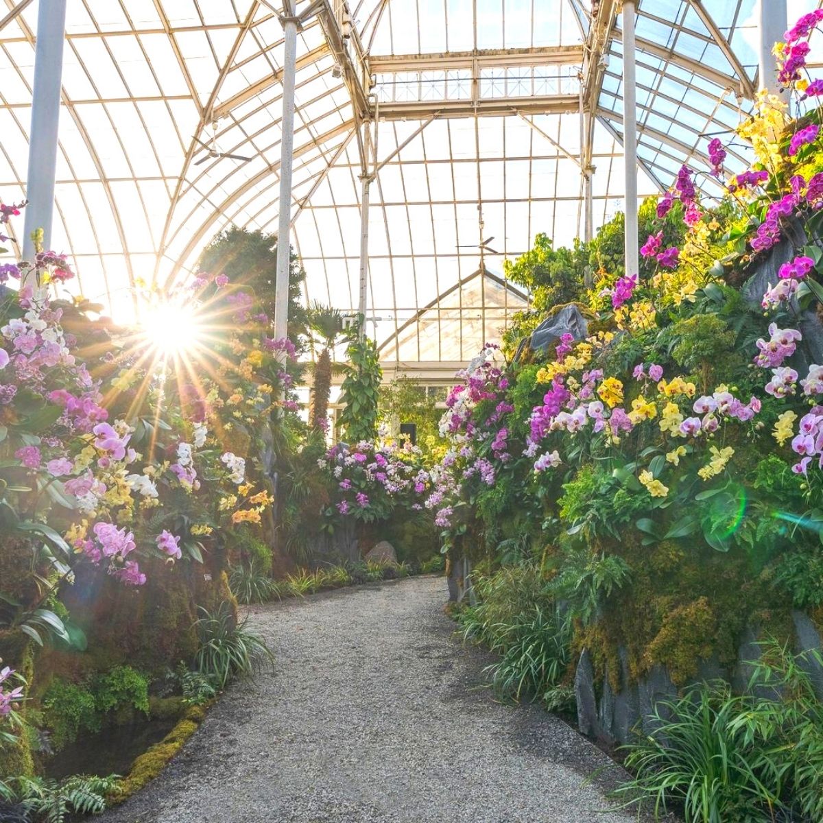 New York Botanical Garden view inside