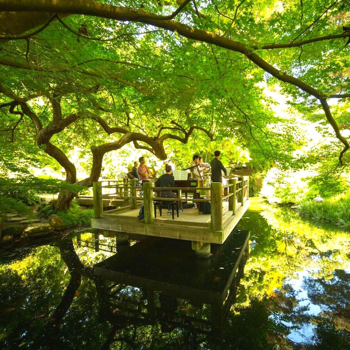 People playing music at San Francisco Botanical Garden