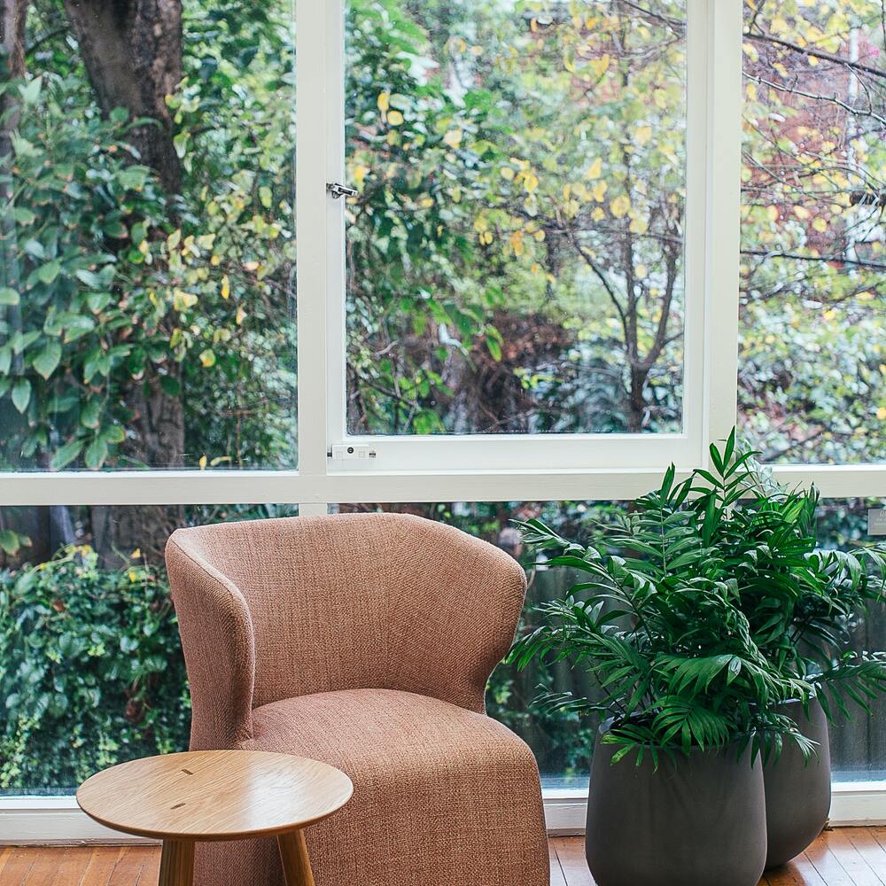 indoor and outdoor home plants