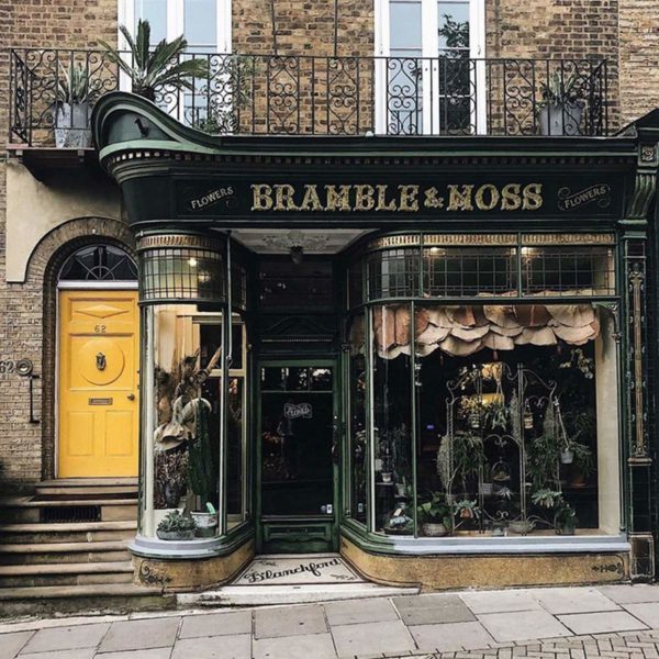 Bramble_Moss_featured_Florist_Shop_London_on_Thursd