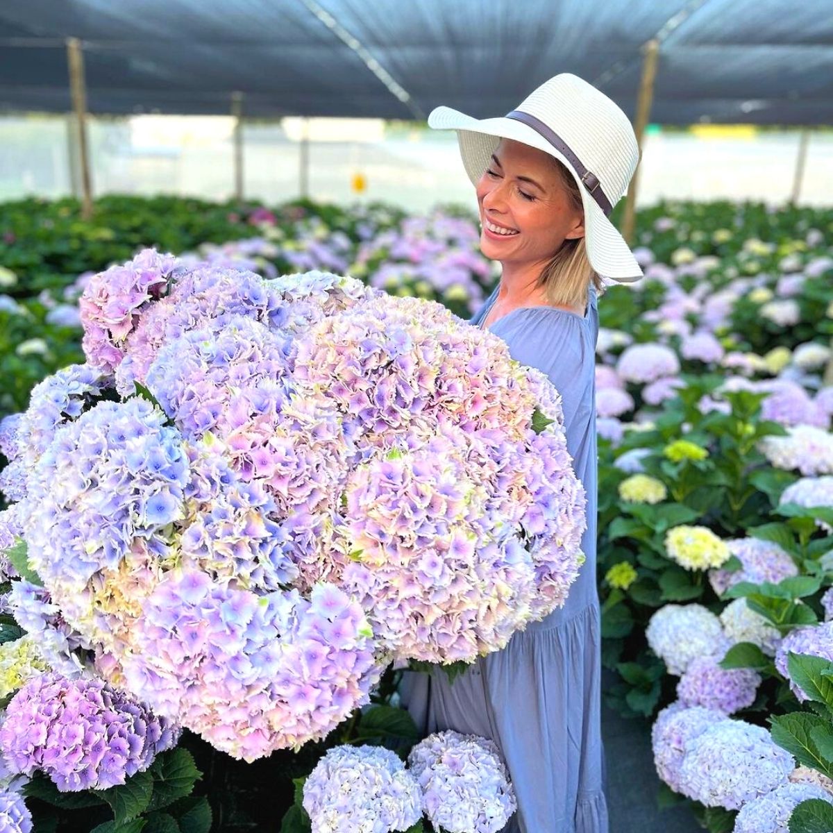 Adene Nieuwoudt with giant hydrangeas