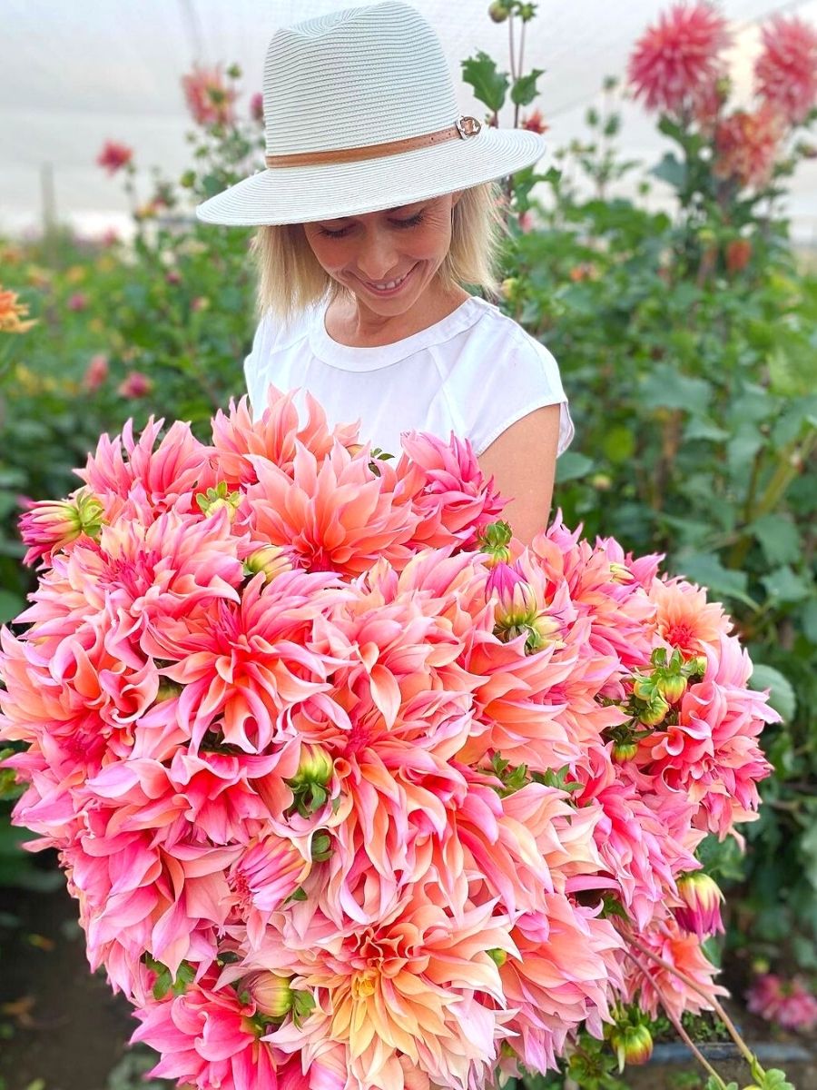 Giant flowers by Adenes Farm Flowers