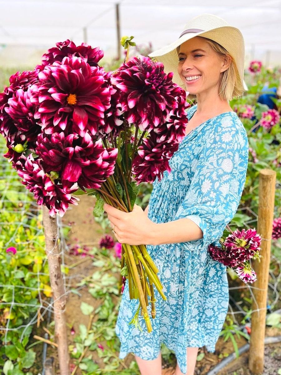 Adene with giant dahlias in purple tones