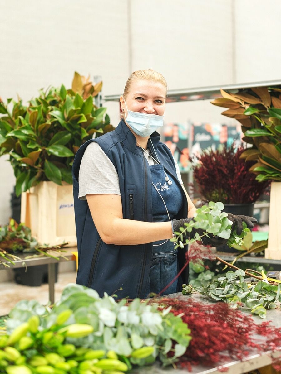 A team member working at Colvin