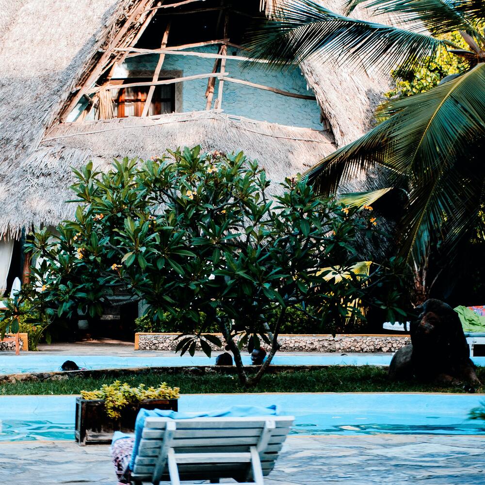 beautiful pool with plants