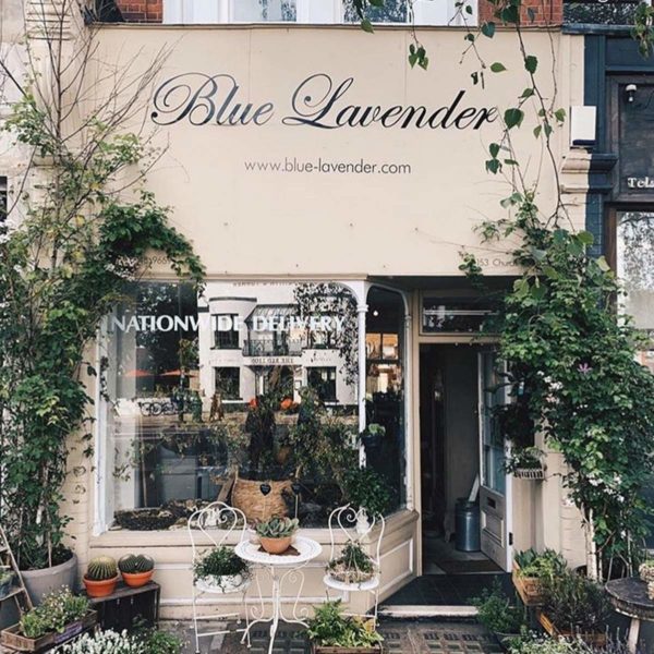 Blue_Lavender_featured_Florist_Shop_London_on_Thursd