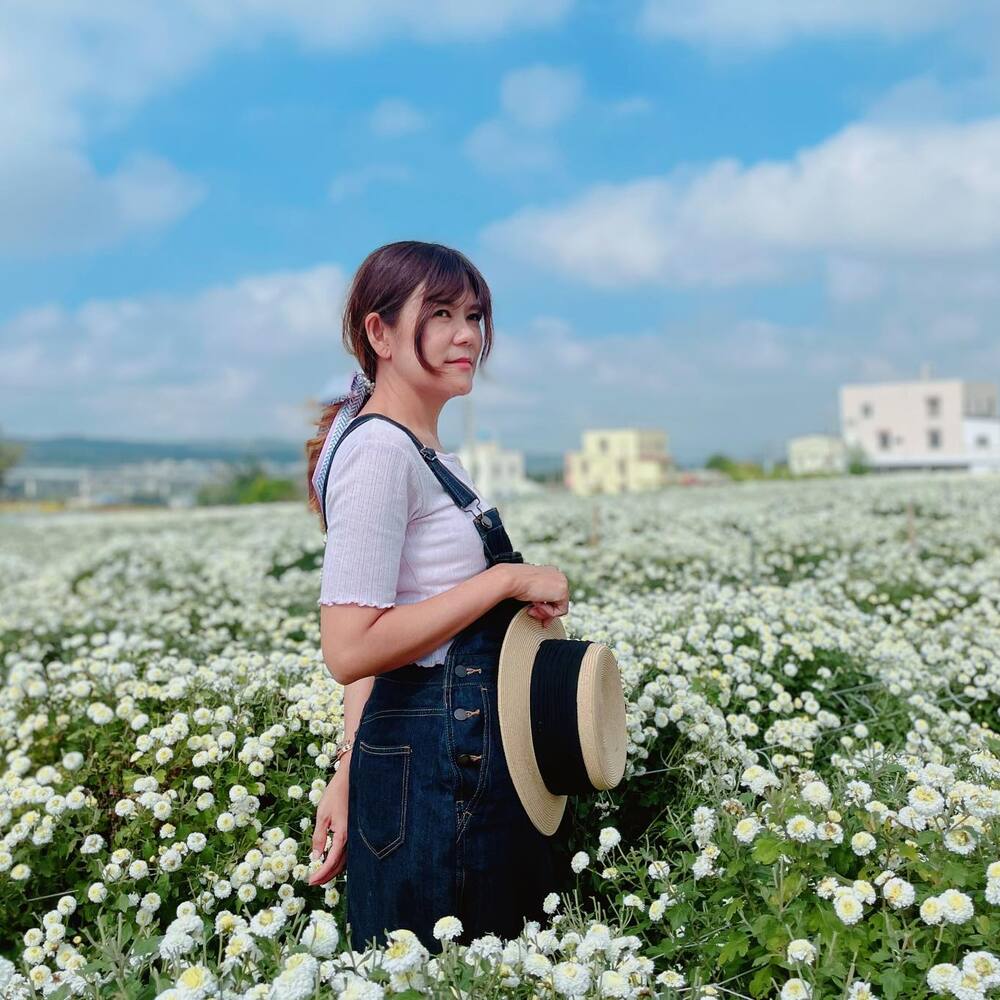 chrysanthemum garden