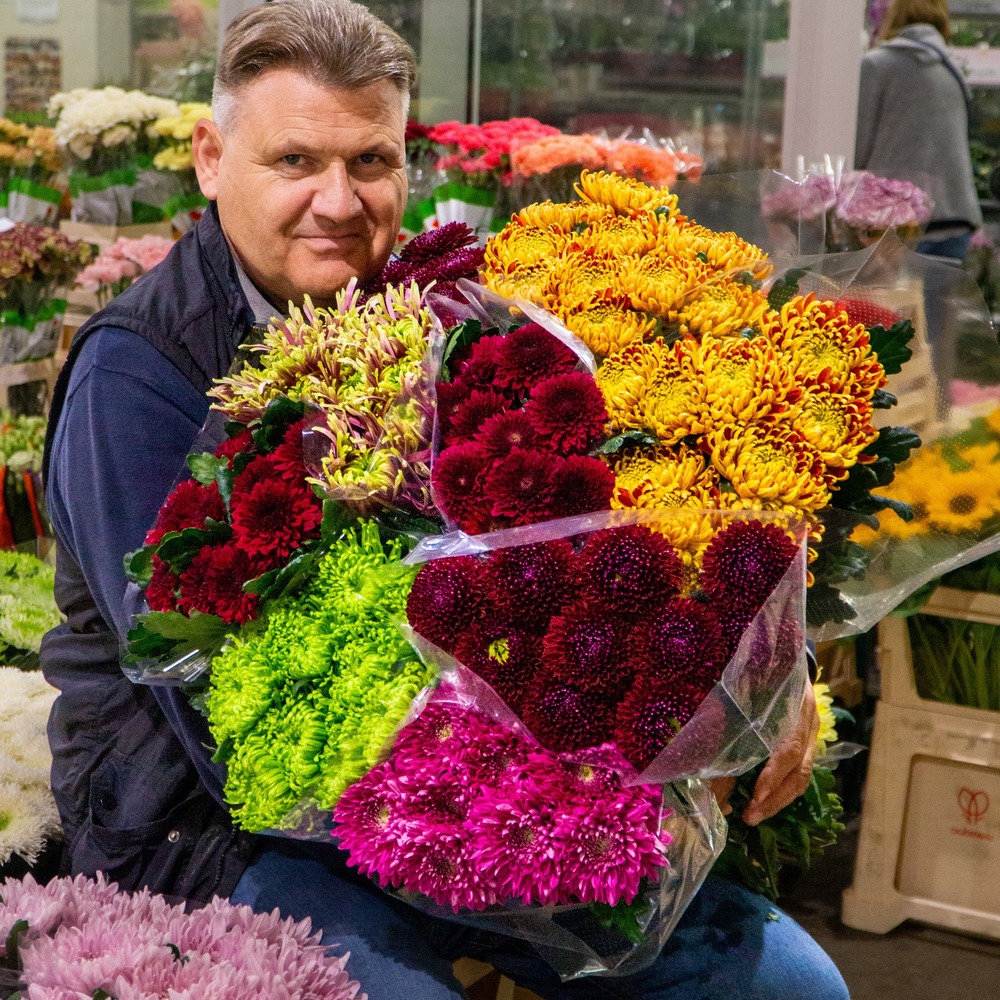 Man holding chrysanthemum Flowers