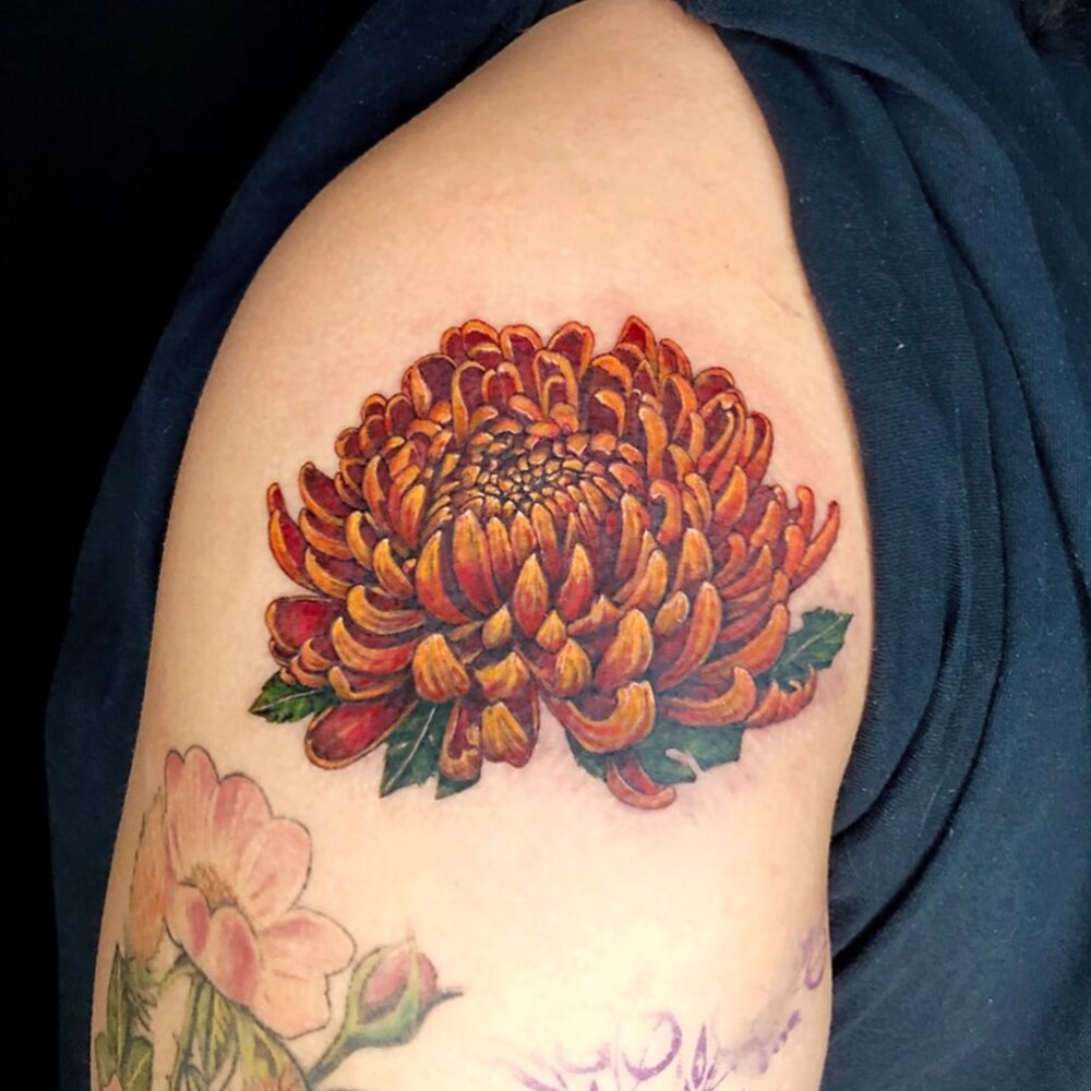 Tattoo chrysanthemum Flowers