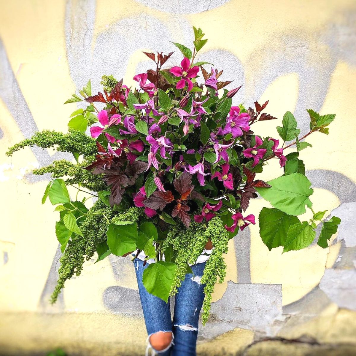 Pink clematis in arrangement by Marginpar