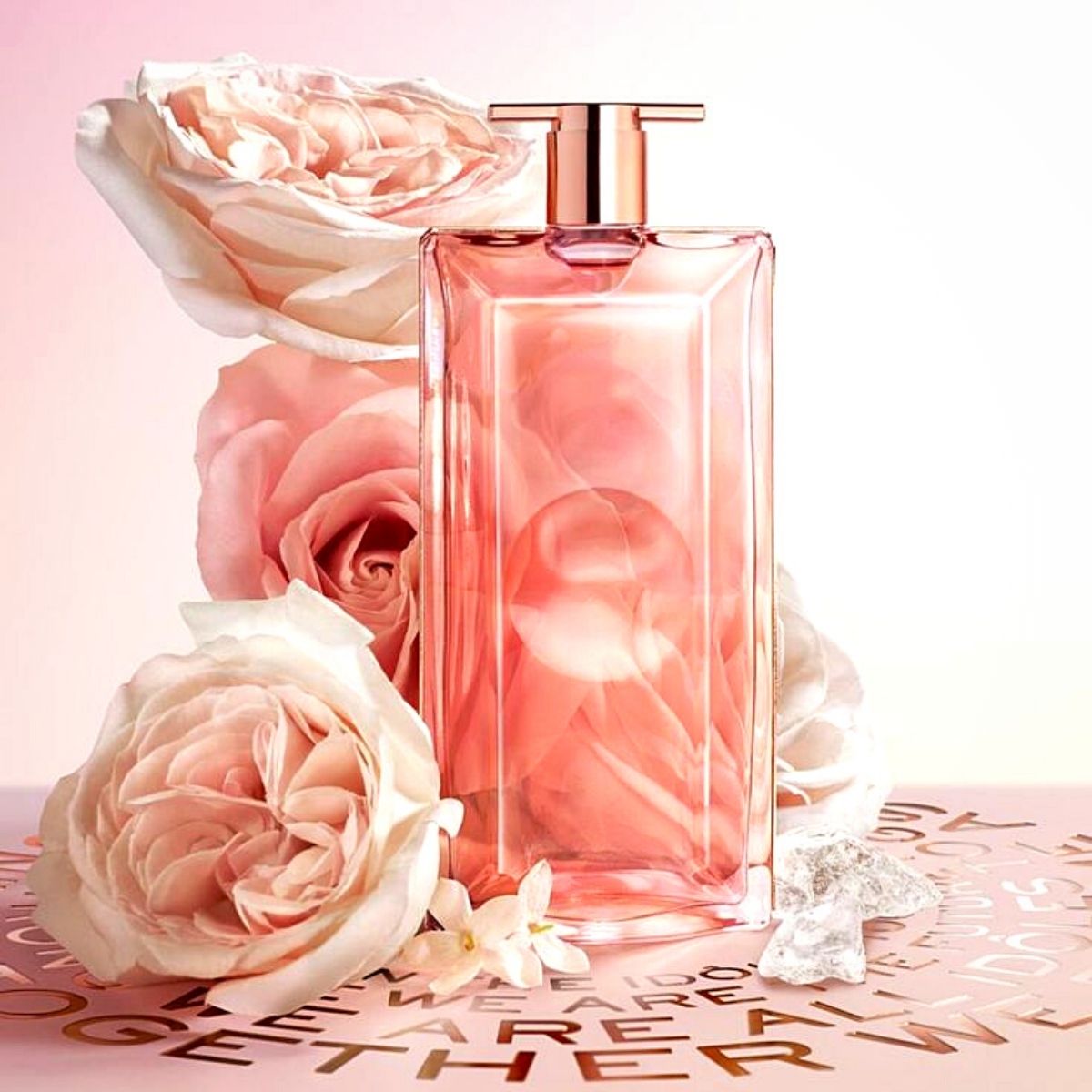 Chic Launches: Lancome, French Connection fragrances, new