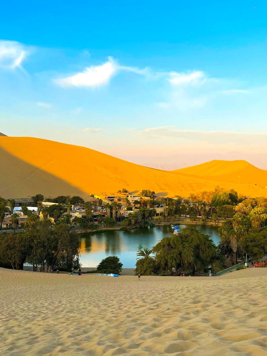 View of the oasis in Ica Peru
