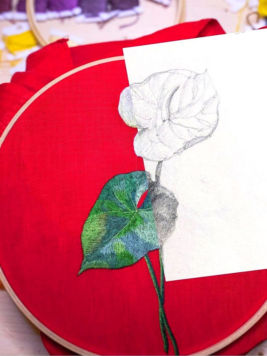 Anthurium drawing process