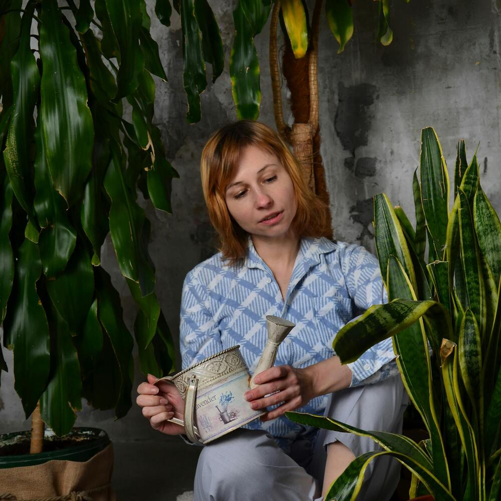 Lady watering to indoor plant
