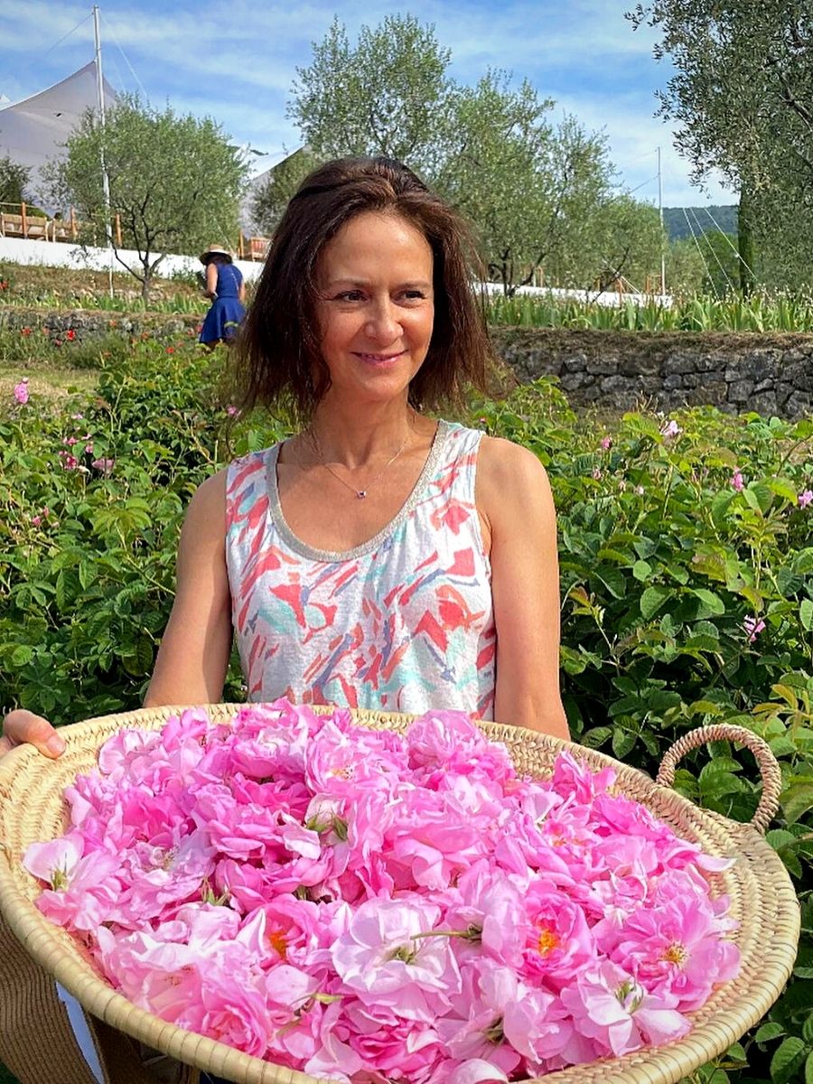 ​Rose Centifolia used for Lancôme’s perfumes