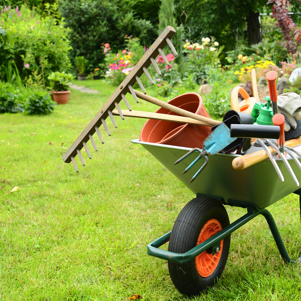 Tool for your garden