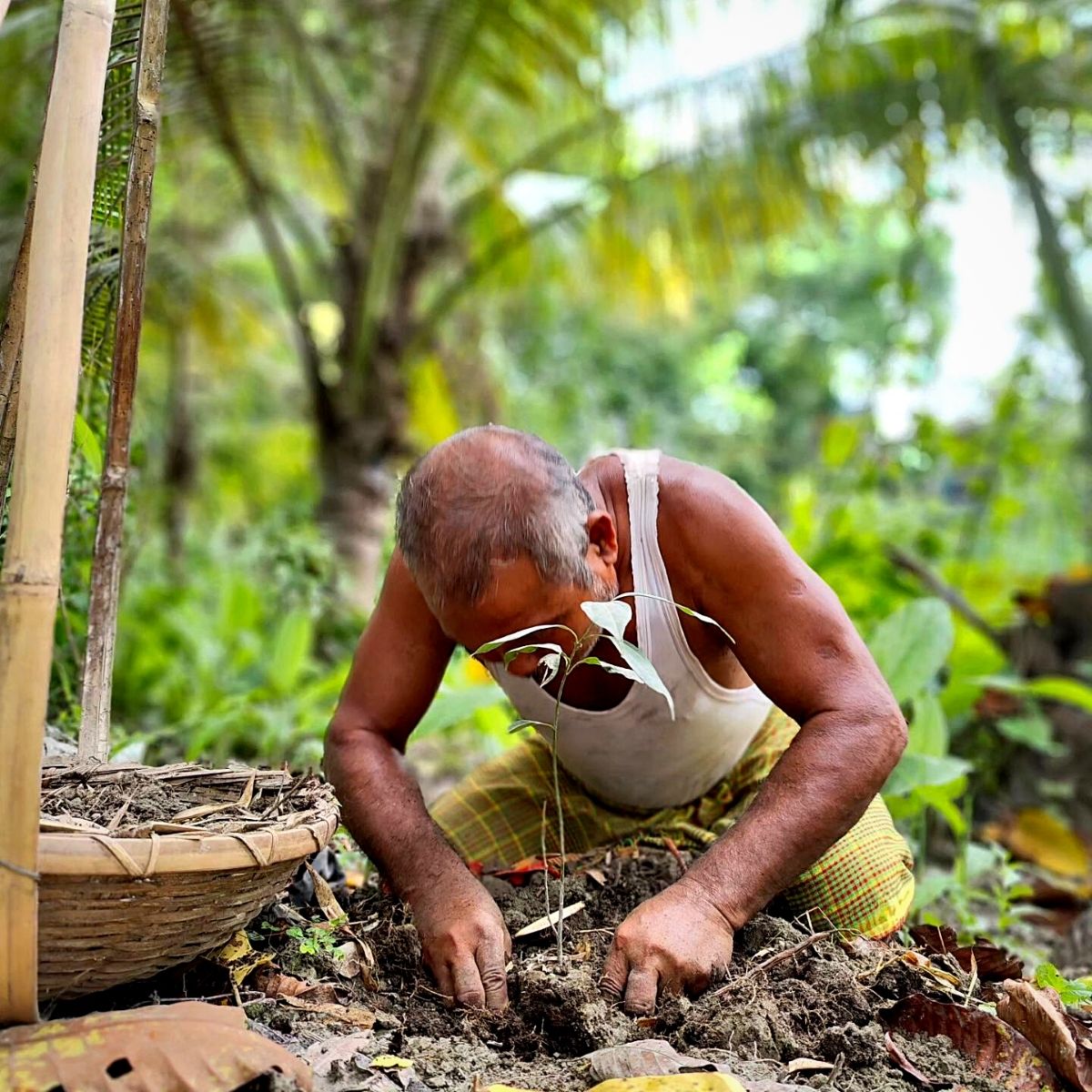 Indian environmentalist Jadav Payeng replants Molai Forest