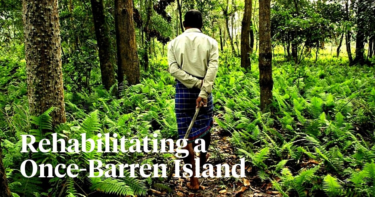 Indian environmentalist Jadav Payeng replanting Molai Forest