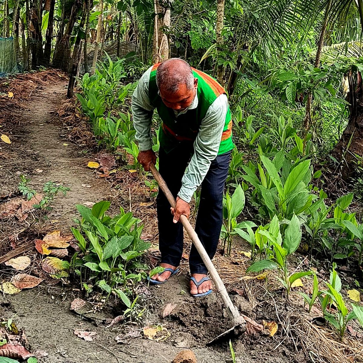 Indian environmentalist Jadav Payeng replants Molai Forest