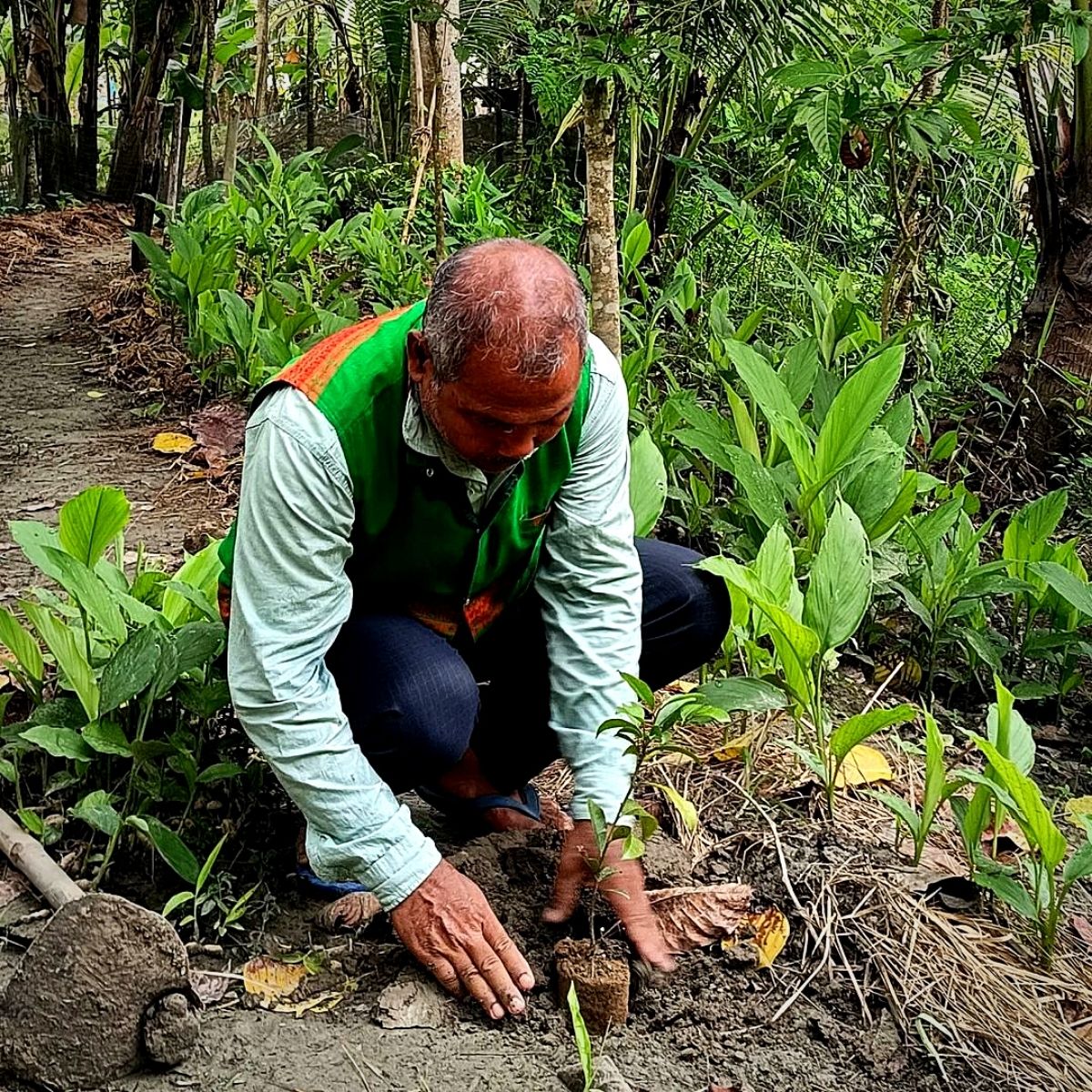 Indian environmentalist Jadav Payeng replants Molai Forest