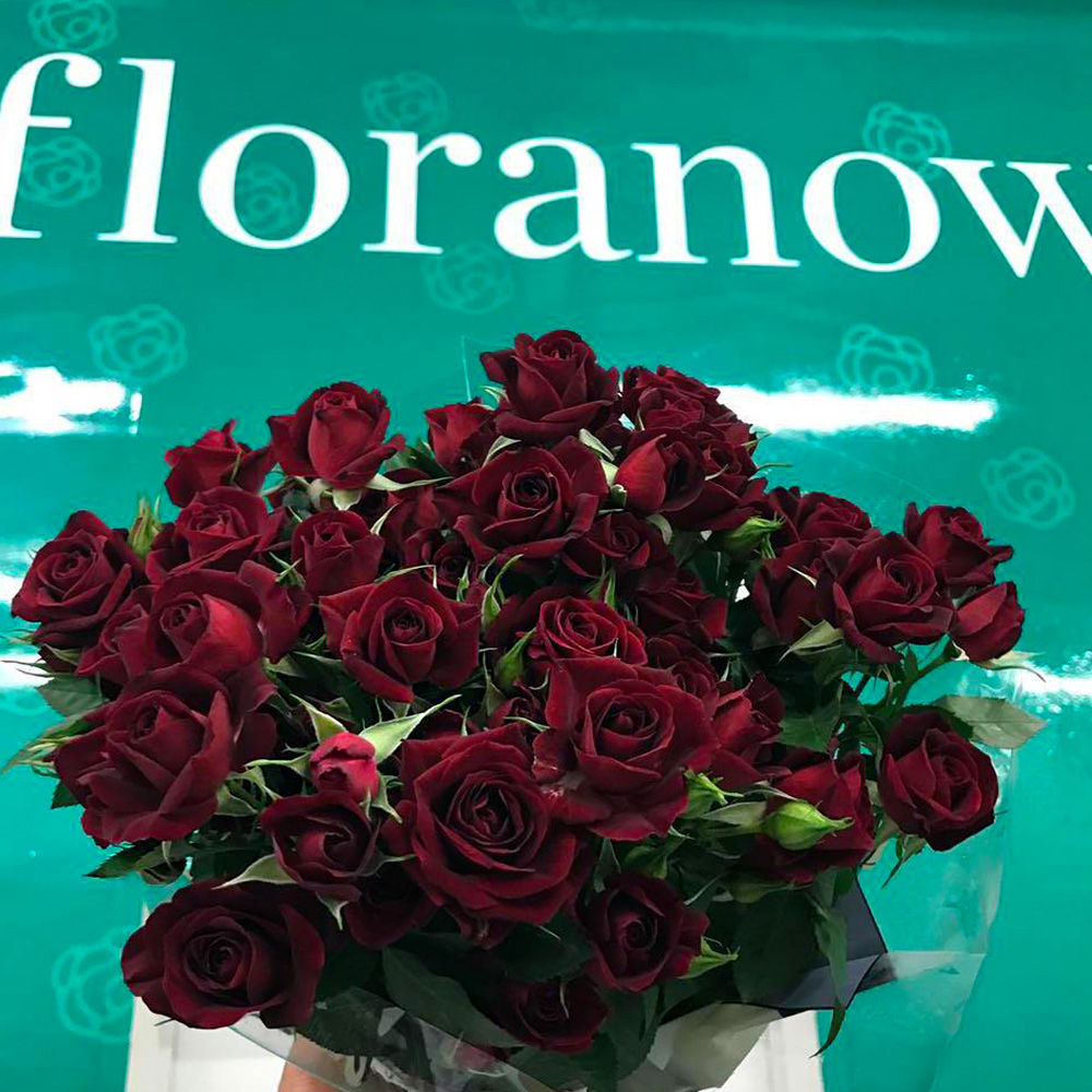 Floranow red roses