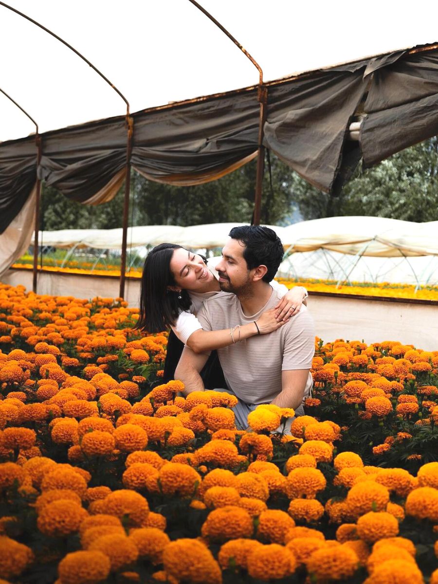 Marigold growers in Mexico