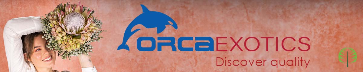 Orca Exotics banner