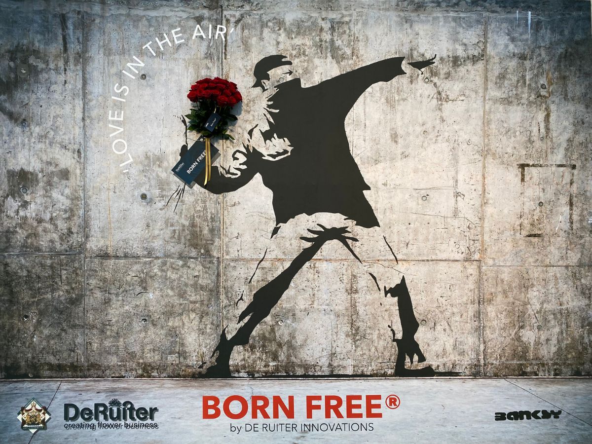 Rose Born Free Banner at IFTF Banksy Inspires De Ruiter