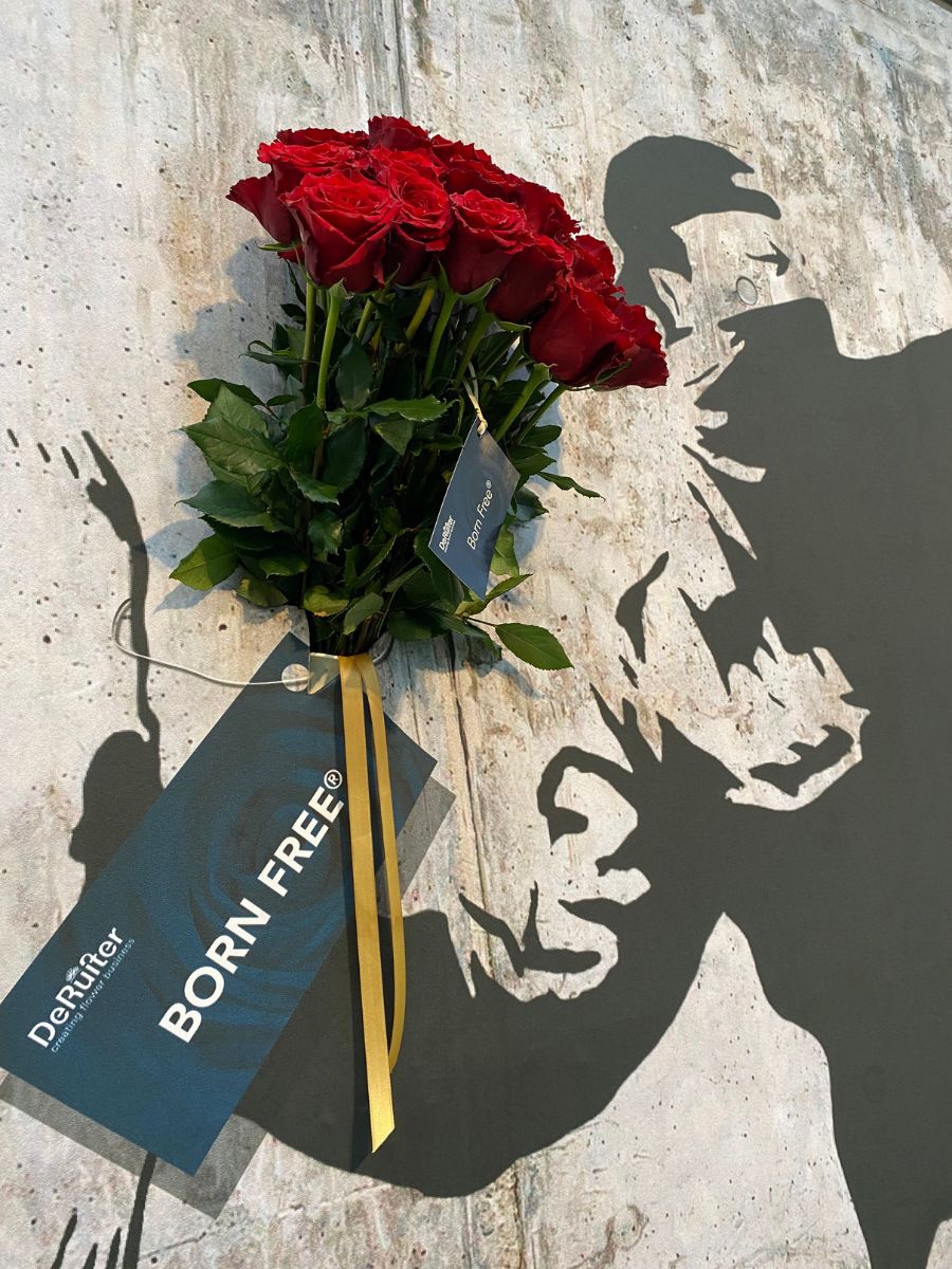 Banksy Inspires With Love Is in the Air for Born Free