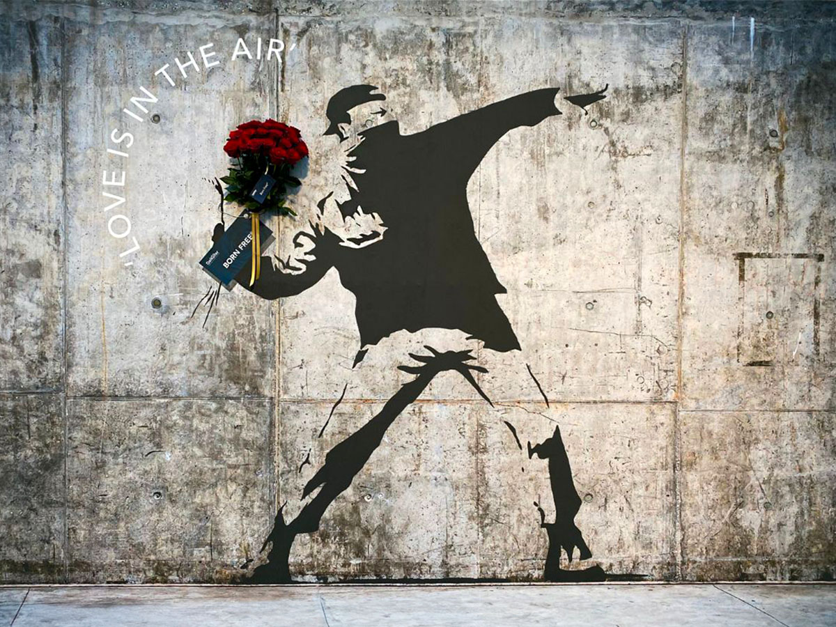 Red Roses for Valentine's De Ruiter Rose Born Free Banksy