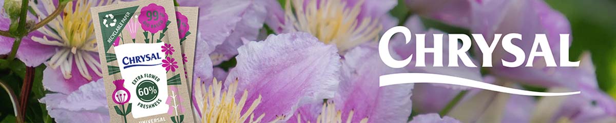 Chrysal clematis banner