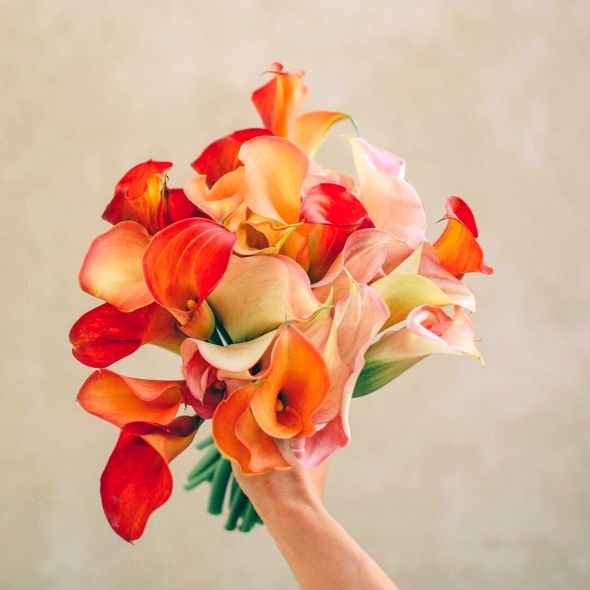 Autumn arrangement with callas