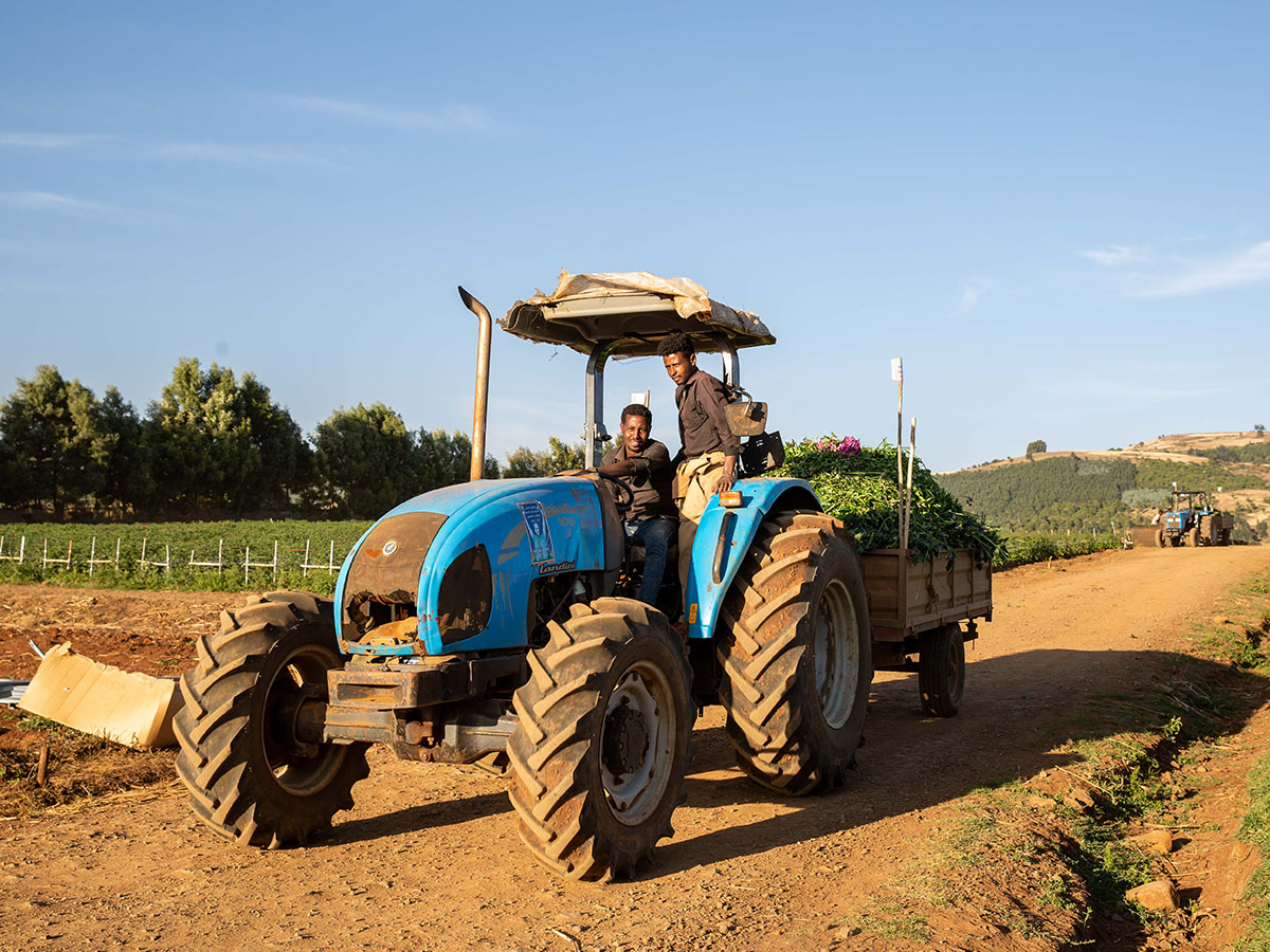 Tractor at Marginpar farm Ethiopia