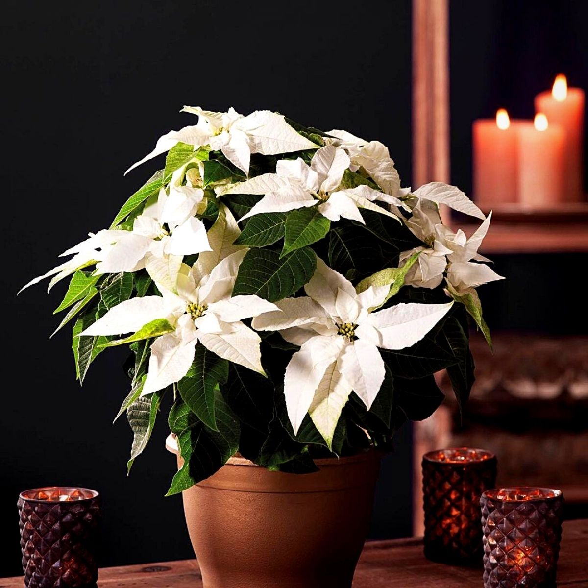 Christmas Marketing Ideas That Can Boost Florists' Festive Season Sales