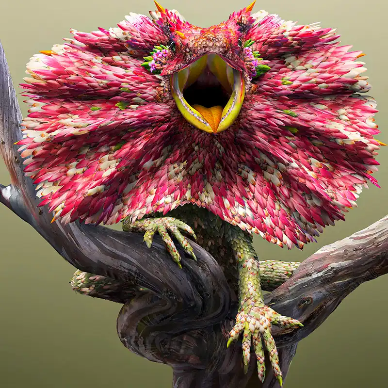 Josh Dykgraaf reimagines hybrid animal species from images of flower petals and leaves