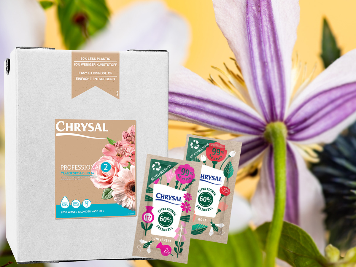 Chrysal solutions for clematis on Thursd