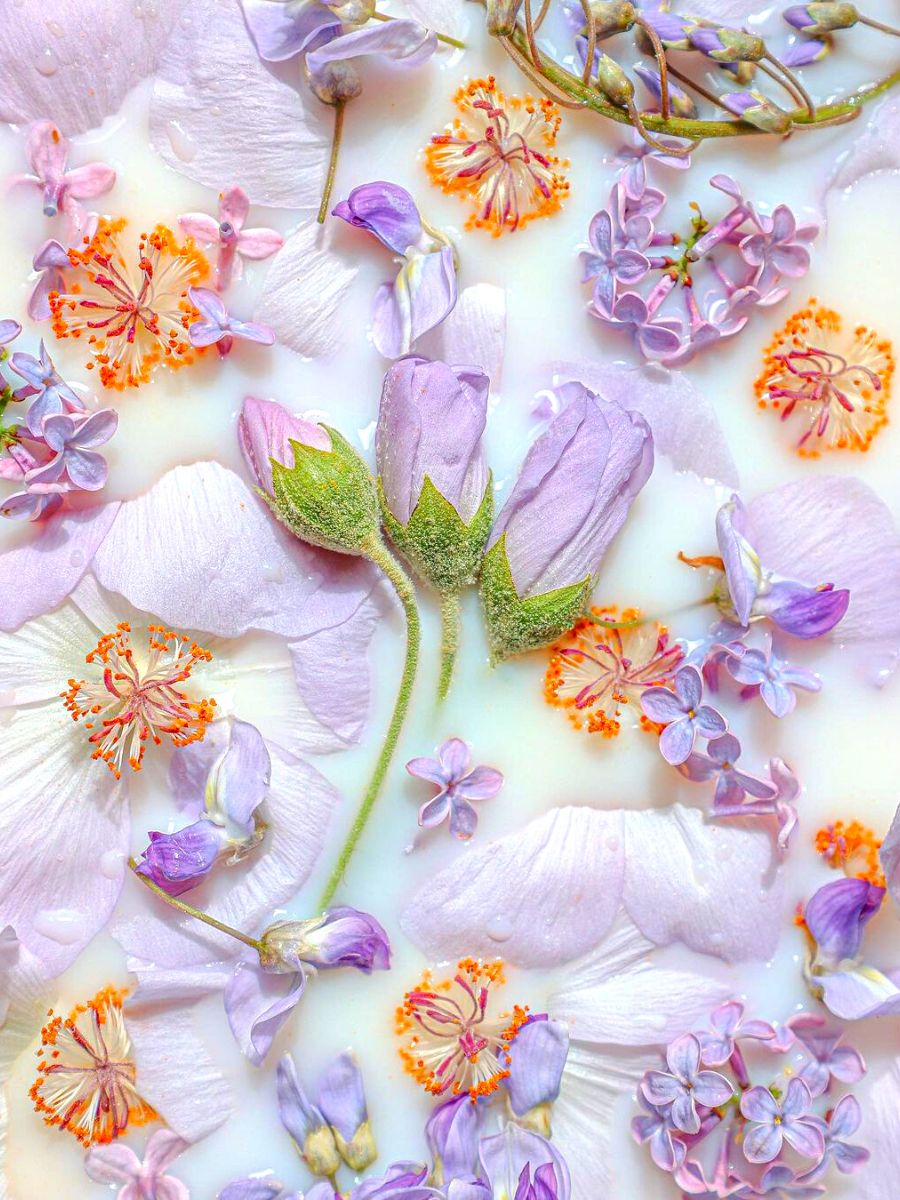 Lilac toned floral blocks