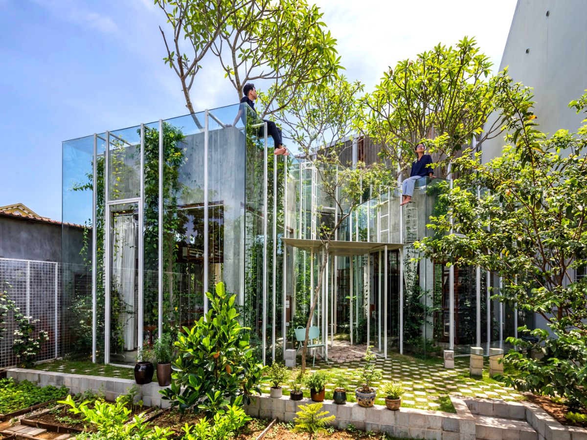 Labri House in Vietnam provides shelter for humans and ‘plant friends’